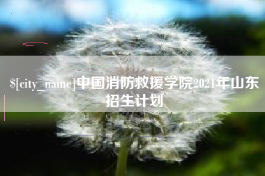 定州中国消防救援学院2021年山东招生计划