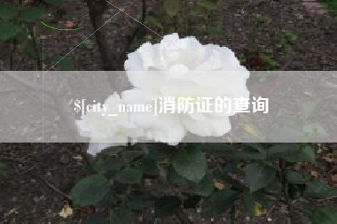 定州消防证的查询
