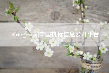 定州中国执行信息公开平台