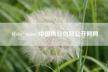 定州中国执行信息公开网网