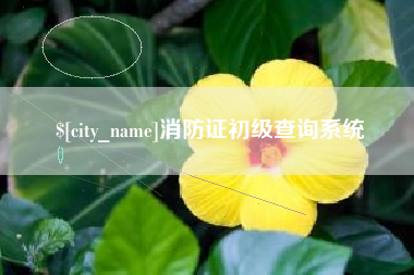 定州消防证初级查询系统