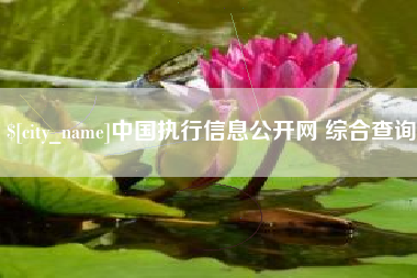 定州中国执行信息公开网 综合查询