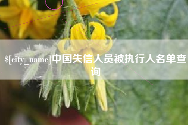 定州中国失信人员被执行人名单查询