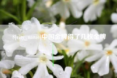定州中国金牌得了几枚金牌