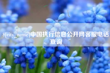 定州中国执行信息公开网客服电话查询