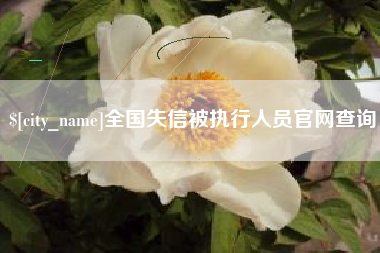 定州全国失信被执行人员官网查询