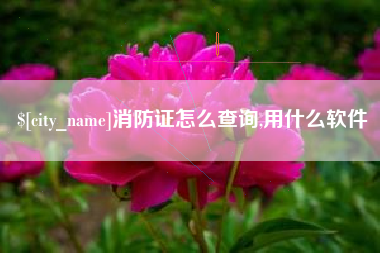 定州消防证怎么查询,用什么软件