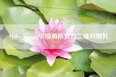 定州中国消防官方二维码图片