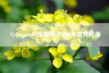 定州全国男子5000米世界纪录