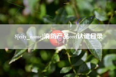 定州消防产品cccf认证目录