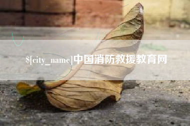 定州中国消防救援教育网