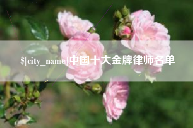 定州中国十大金牌律师名单