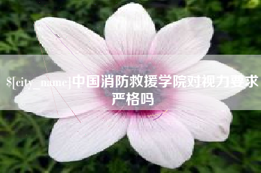 定州中国消防救援学院对视力要求严格吗