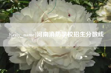 定州河南消防学校招生分数线