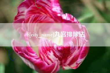 定州九宫排除法