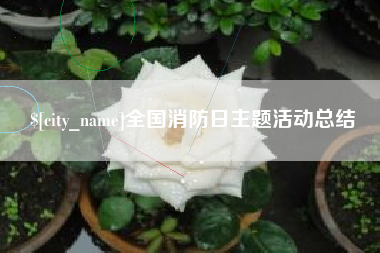 定州全国消防日主题活动总结