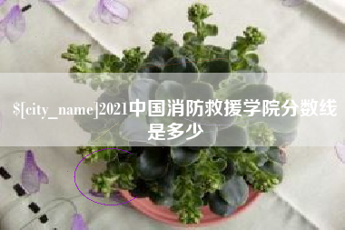 定州2021中国消防救援学院分数线是多少