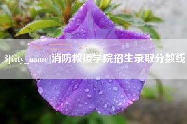 定州消防救援学院招生录取分数线