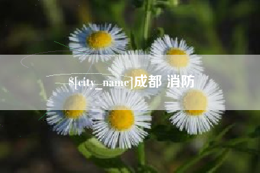定州成都 消防