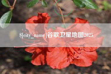 定州谷歌卫星地图2025