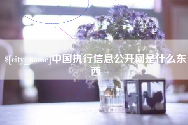 定州中国执行信息公开网是什么东西