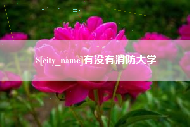 定州有没有消防大学