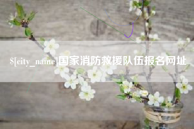 定州国家消防救援队伍报名网址