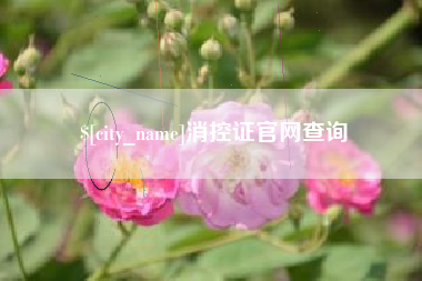 定州消控证官网查询