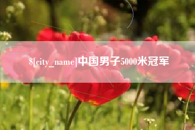 定州中国男子5000米冠军