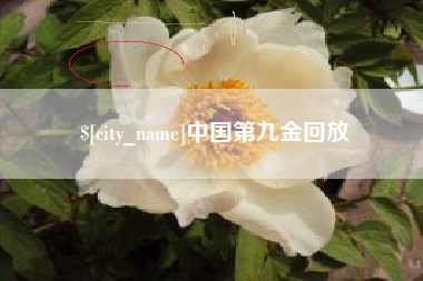 定州中国第九金回放