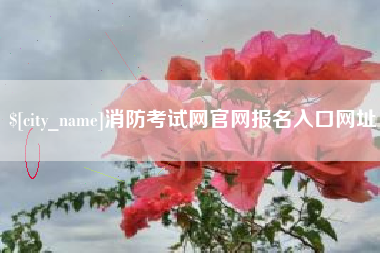 定州消防考试网官网报名入口网址