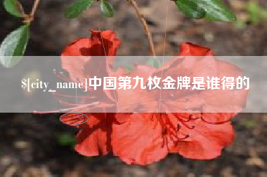 定州中国第九枚金牌是谁得的