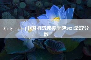 定州中国消防救援学院2021录取分数