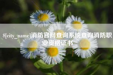 定州消防官网查询系统查询消防职业资格证书