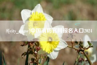 定州中国消防官网报名入口2024