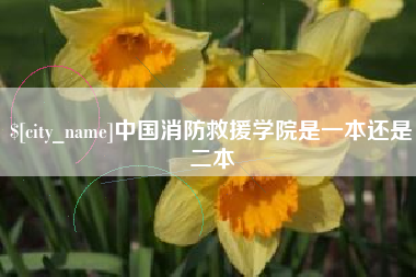 定州中国消防救援学院是一本还是二本