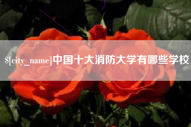 定州中国十大消防大学有哪些学校