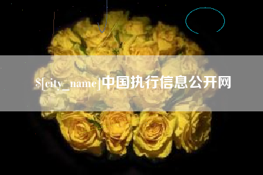 定州中国执行信息公开网