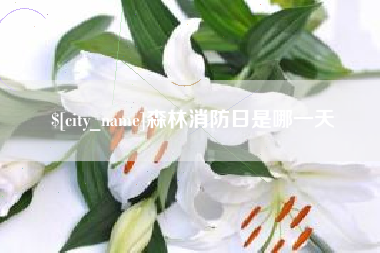 定州森林消防日是哪一天