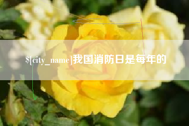 定州我国消防日是每年的