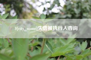 定州失信被执行人杳询