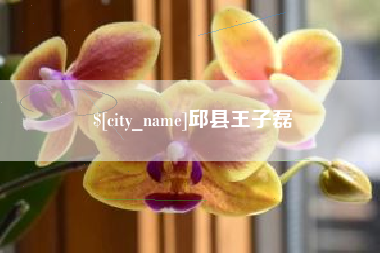 定州邱县王子磊
