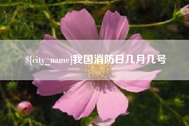 定州我国消防日几月几号