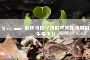 定州消防救援学院报考条件湖南招生多少分