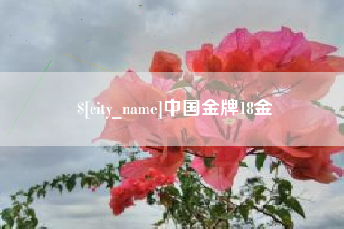 定州中国金牌18金