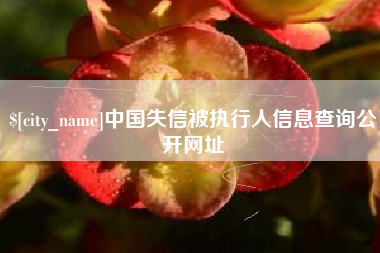 定州中国失信被执行人信息查询公开网址
