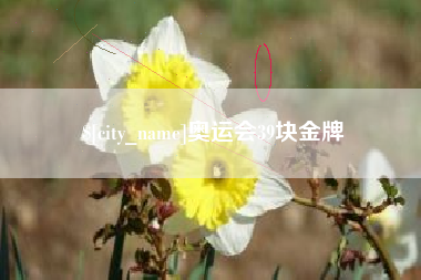 定州奥运会39块金牌