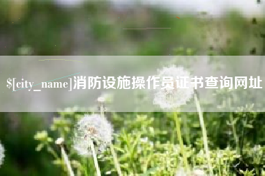 定州消防设施操作员证书查询网址