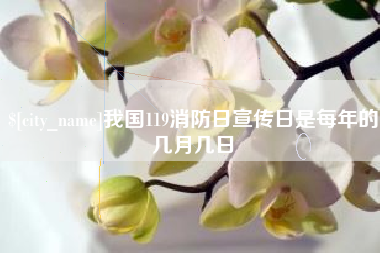 定州我国119消防日宣传日是每年的几月几日