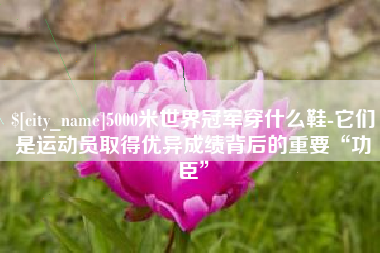 定州5000米世界冠军穿什么鞋-它们是运动员取得优异成绩背后的重要“功臣”